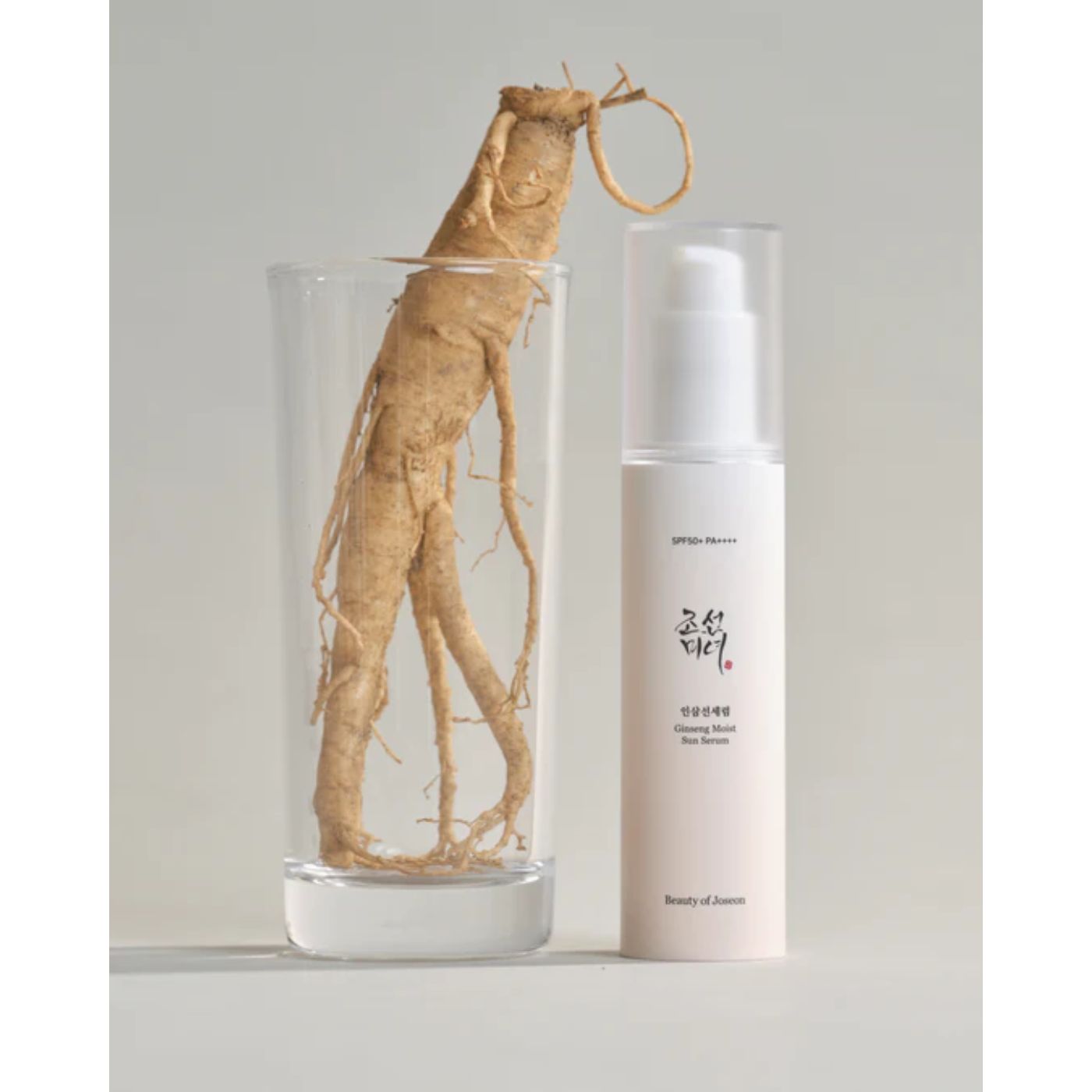 ginseng moist sun