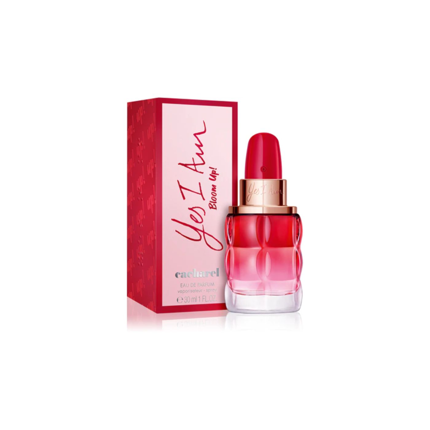 Perfumes Cacharel
