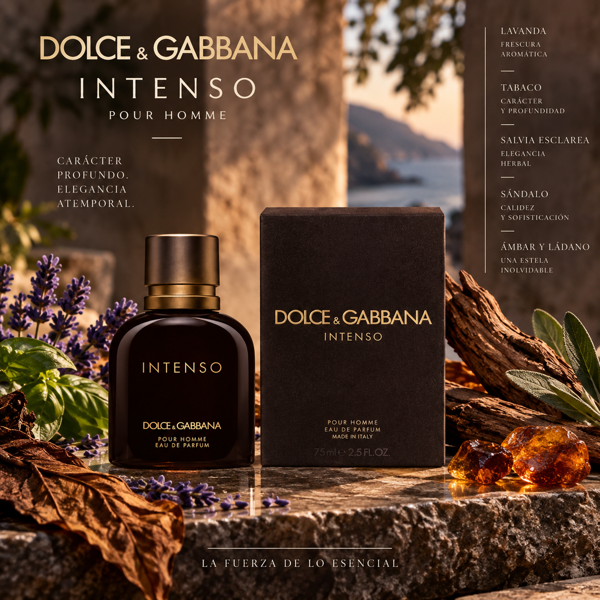 Perfume de Dolce y Gabbana Intenso