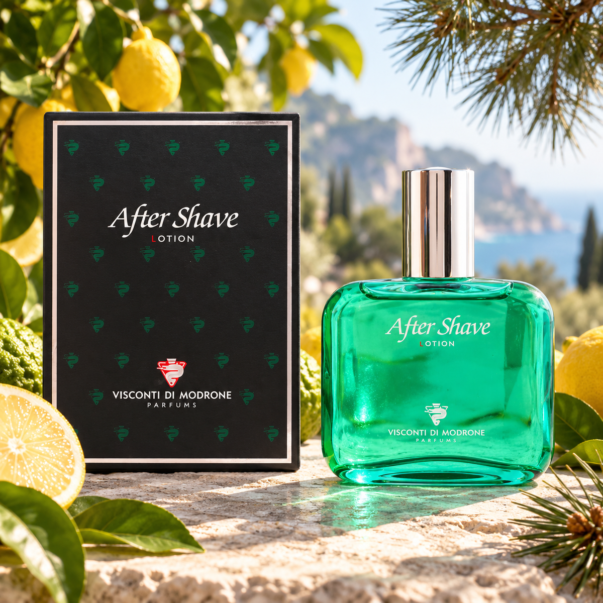 Acqua Di Selva loción after shave 100 ml con cítricos y pino